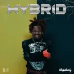 Shoday - HYBRID (Album)