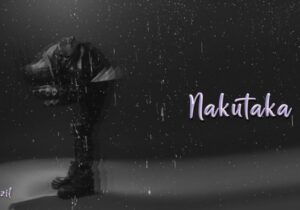 Mbrazil – NAKUTAKA