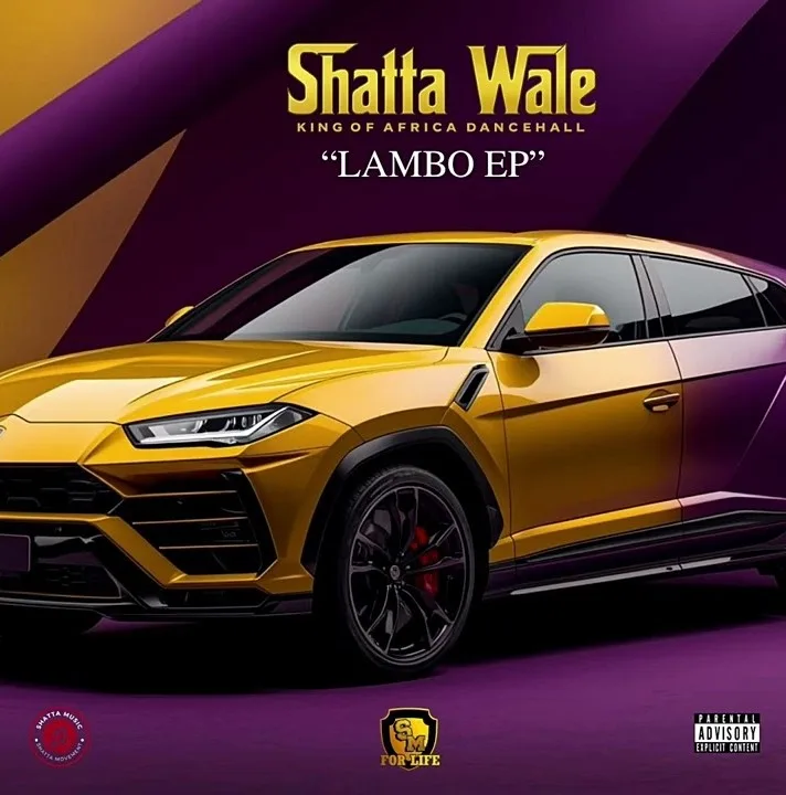 Shatta Wale – Are You Sure