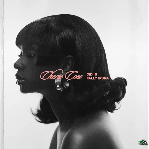 DIDI B – Chérie Coco Ft. FALLY IPUPA