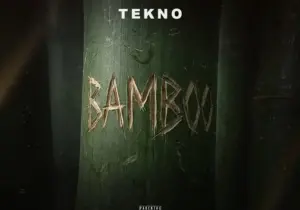 Tekno – Bamboo
