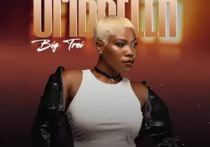 Big Trei – Umbrella
