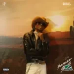 Dxtiny – Arizona Ft. Shoday, Blaqbonez