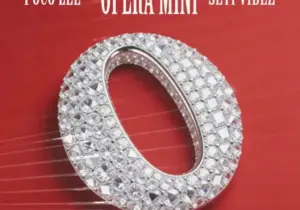 Poco Lee – OPERA MINI ft. Seyi Vibez
